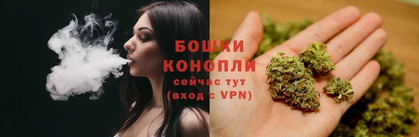 PSILOCYBIN Белоозёрский